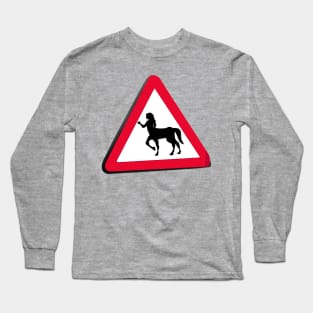 Centaur Crossing Long Sleeve T-Shirt